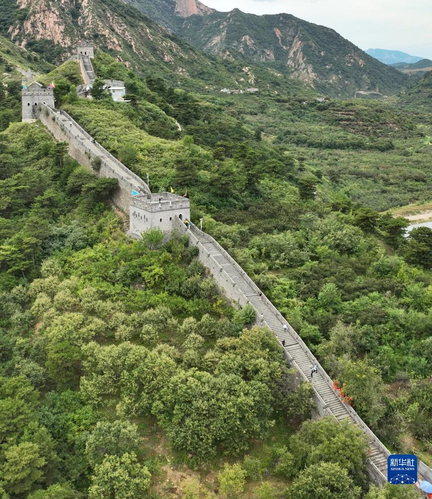天下现金网入口