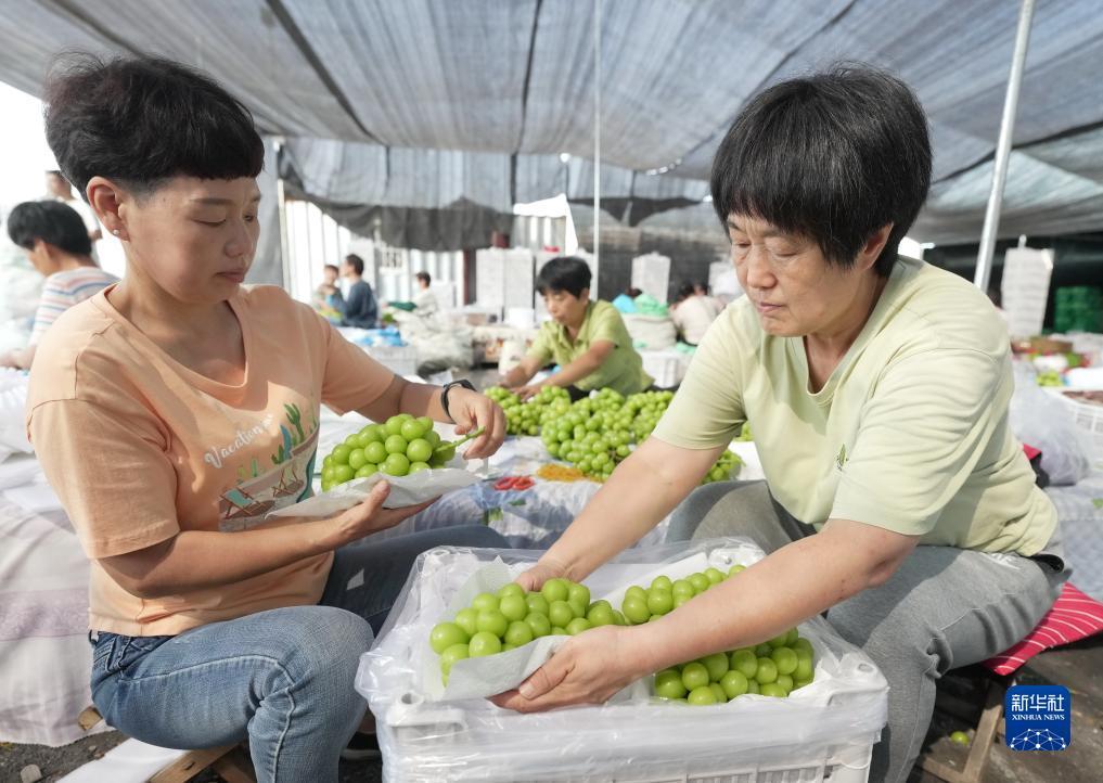 亿百万棋牌